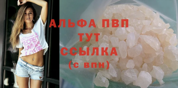 прущие крисы Бородино