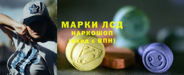 мдпв Богданович